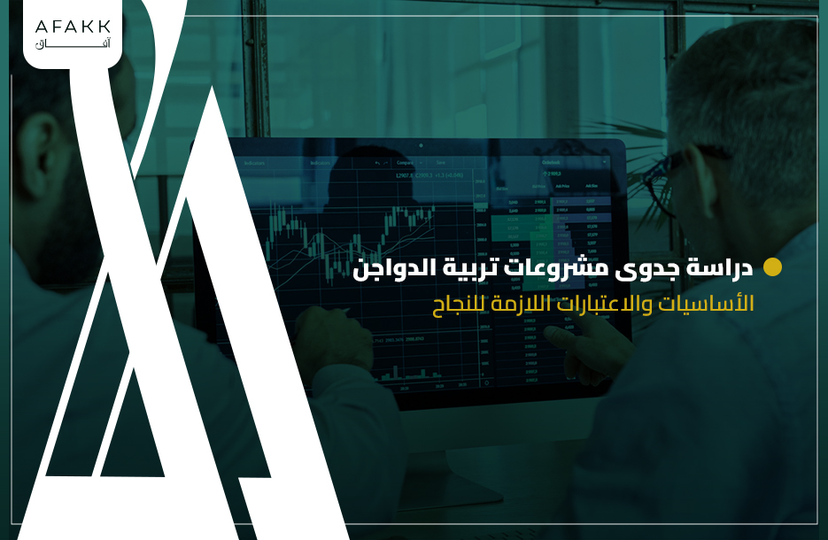 دراسة جدوى مشروعات تربية الدواجن: الأساسيات والاعتبارات اللازمة للنجاح