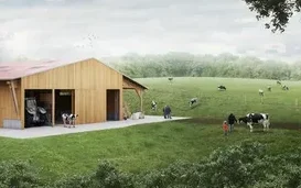 دراسة جدوى مزرعة مواشي