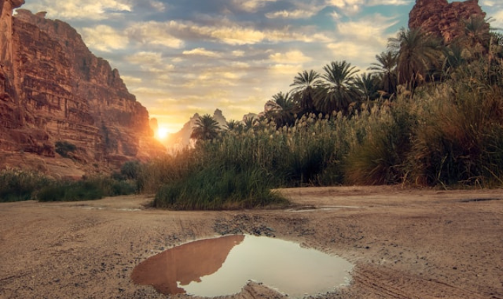 5 مشاريع سياحية في السعودية