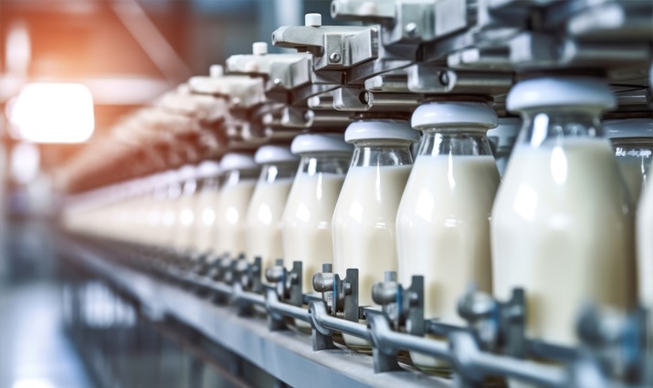 دراسة جدوى مصنع ألبان