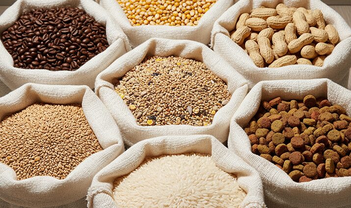 مصانع الأعلاف الحيوانية البديلة