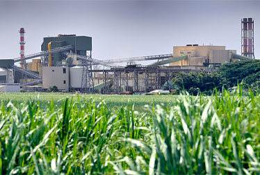 مصانع صديقة للبيئة