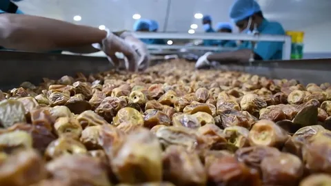 دراسة جدوى مصنع تمور