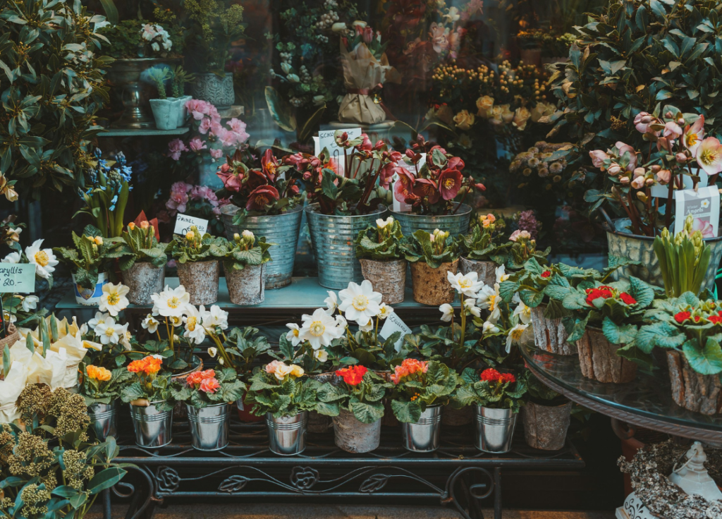 دراسة جدوى محل ورد