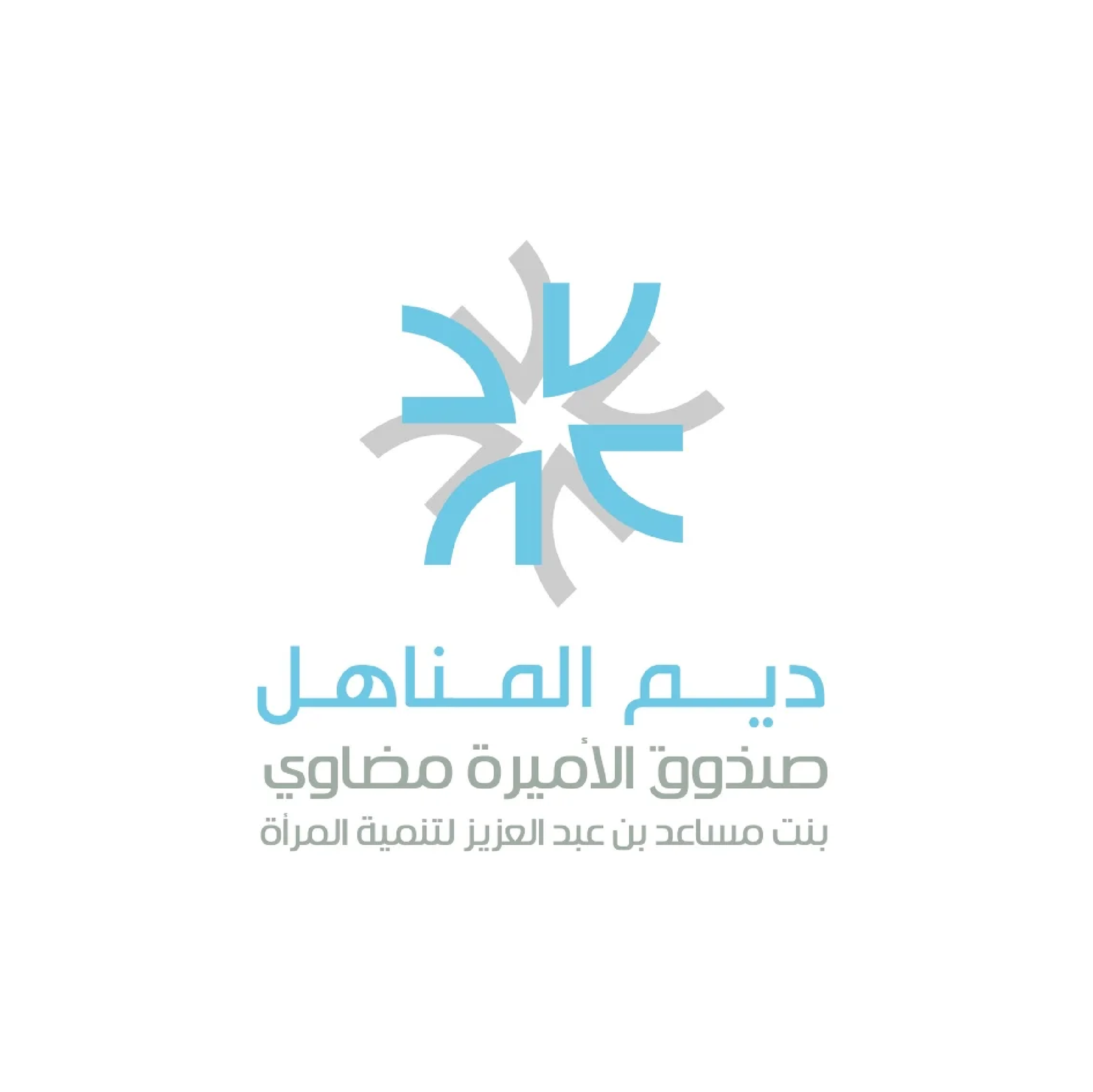 جهة تمويلية