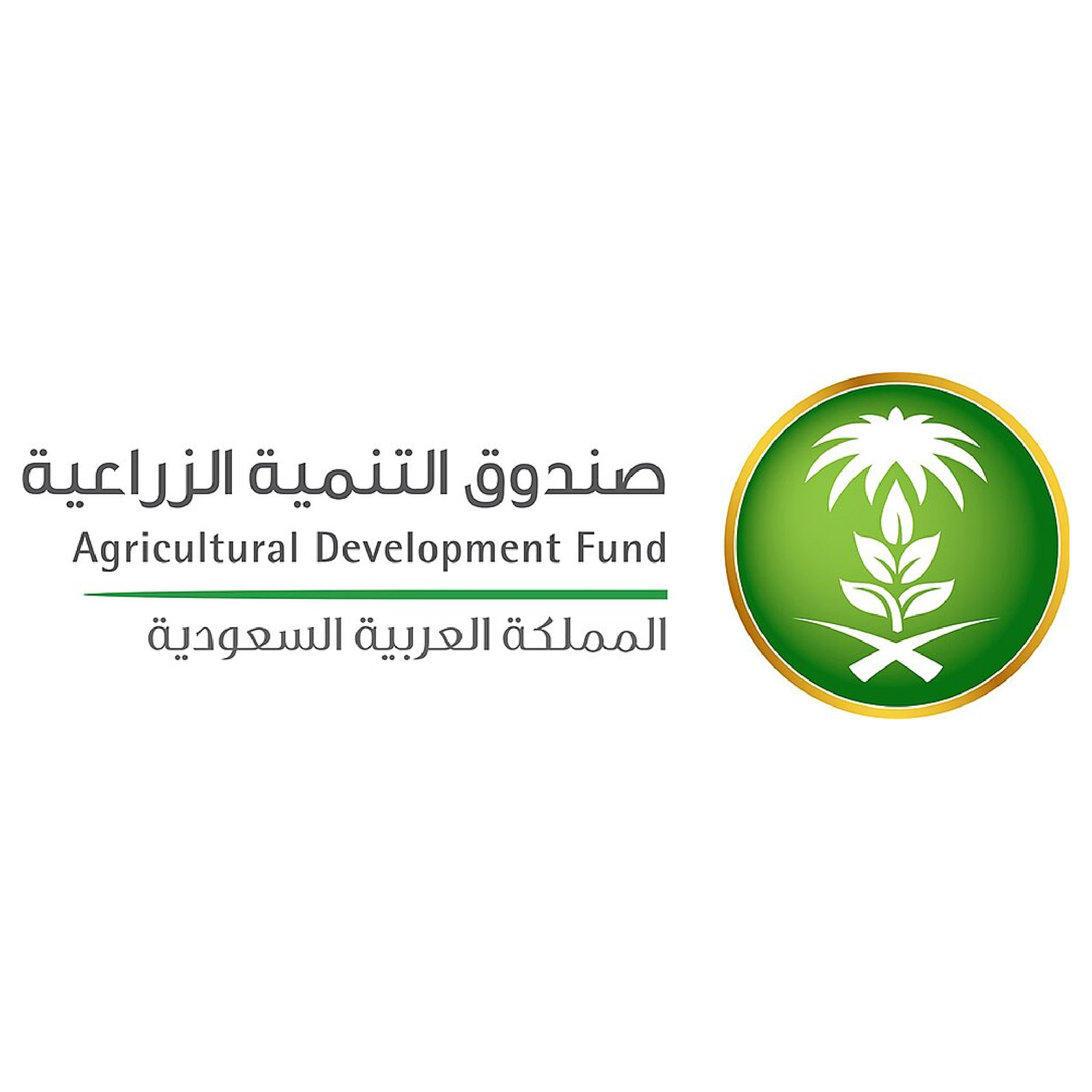 جهة تمويلية