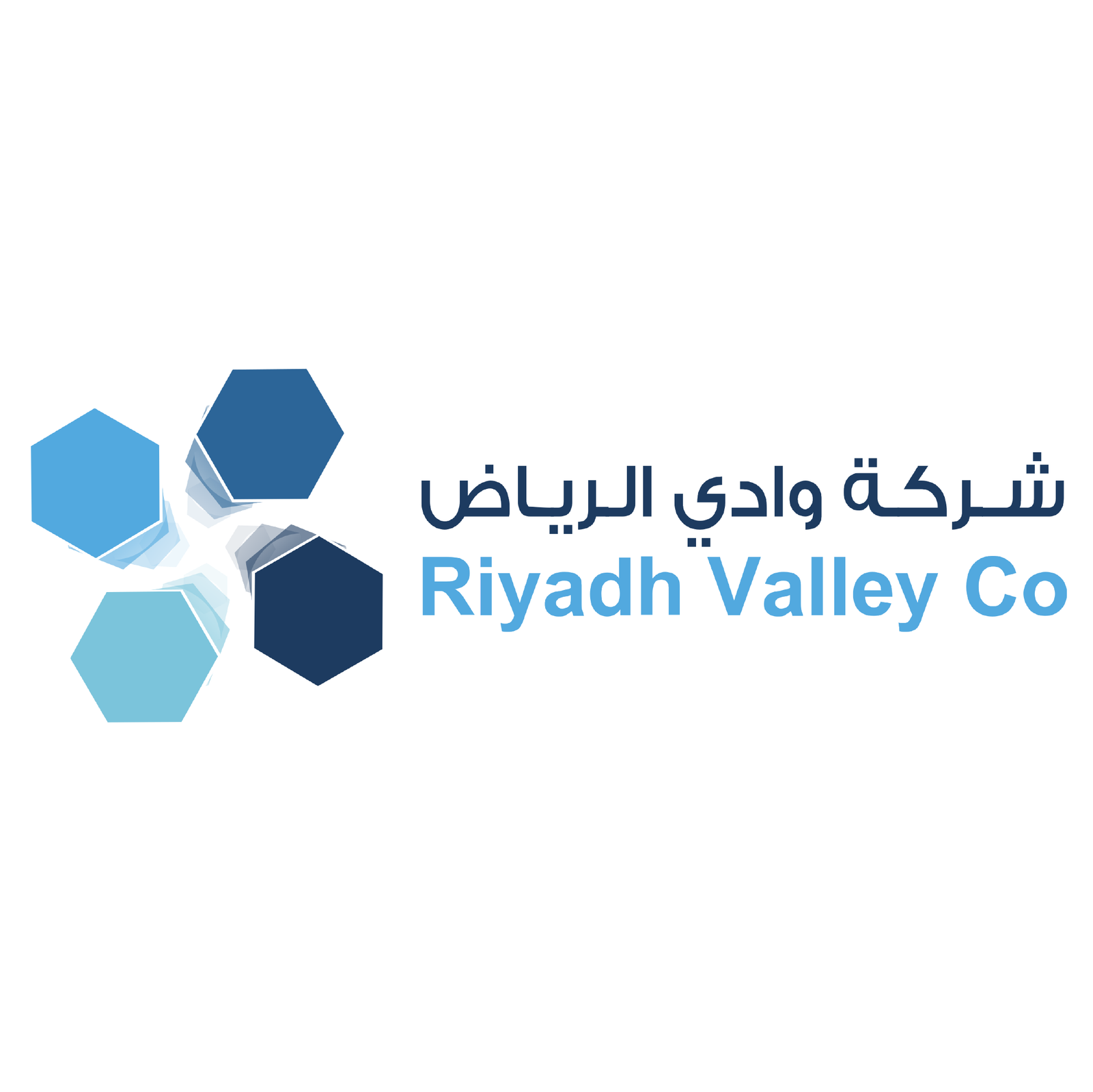 جهة تمويلية