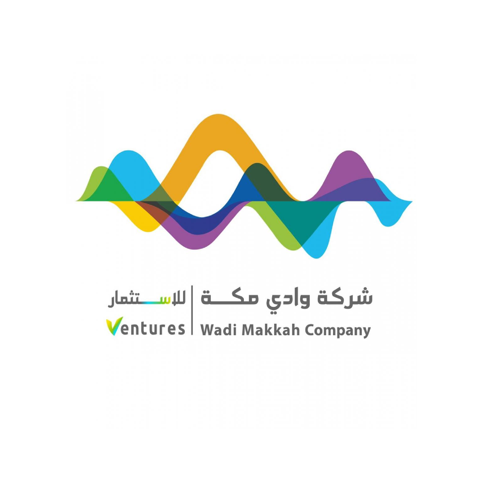 جهة تمويلية